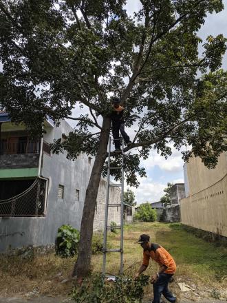 Pengkondisian Rute Gema Takbir 3 Desa Ngestiharjo 