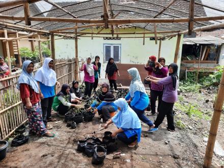 Tanam Sayur di Pedukuhan Onggobayan 