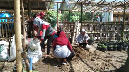 Penanaman Sayuran Oleh KWT Srikandi