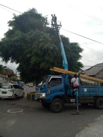 Pemangkasan Pohon Beringin Depan SD Kadipiro 1 Sutopadan 