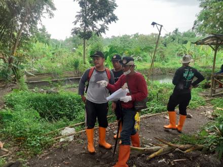 Pemasangan Patok Tanah Kas Desa