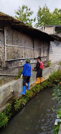 Pemasangan Patok Tanah Kas Desa