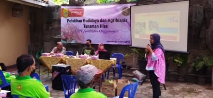 Pelatihan Budidaya dan Agribisnis Tanaman Hias KWT Sembodro Onggobayan