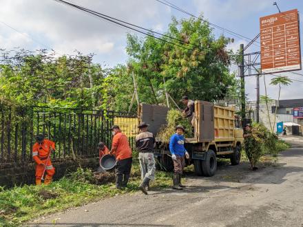 Angkat Walet di Jl Soragan