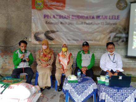 Pelatihan Budidaya Ikan Lele di Sidorejo