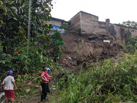 Mitigasi Tanah Longsor dan Pohon Tumbang di Sidorejo