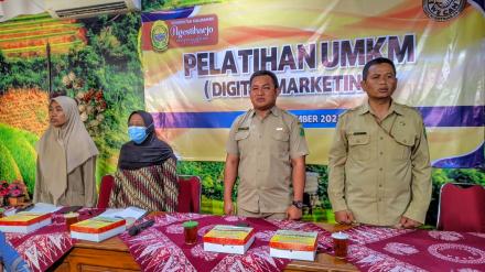 Pelatihan UMKM 