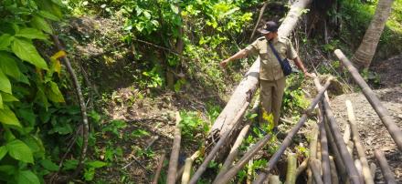 Cek Lokasi Gajah Putih