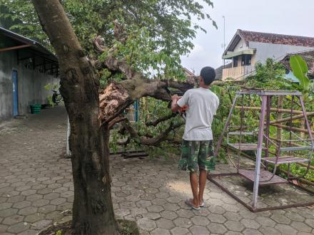 Mitigasi Pohon Rubuh di Selatan Masjid Labaik Sonopakis Lor