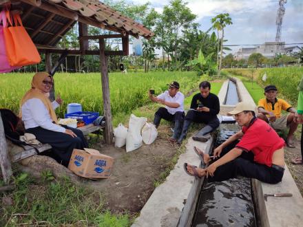 Ubinan di Bulak Kwaron bersama Poktan Sedyo Rukun